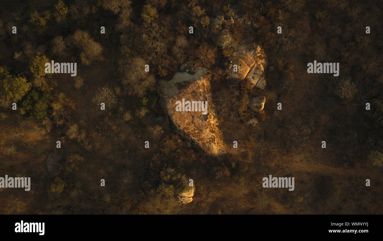 Untouched South African wildlife seen from above. Near the Kruger Park. With a huge stone from the ice age in the middle. Stock Photo
