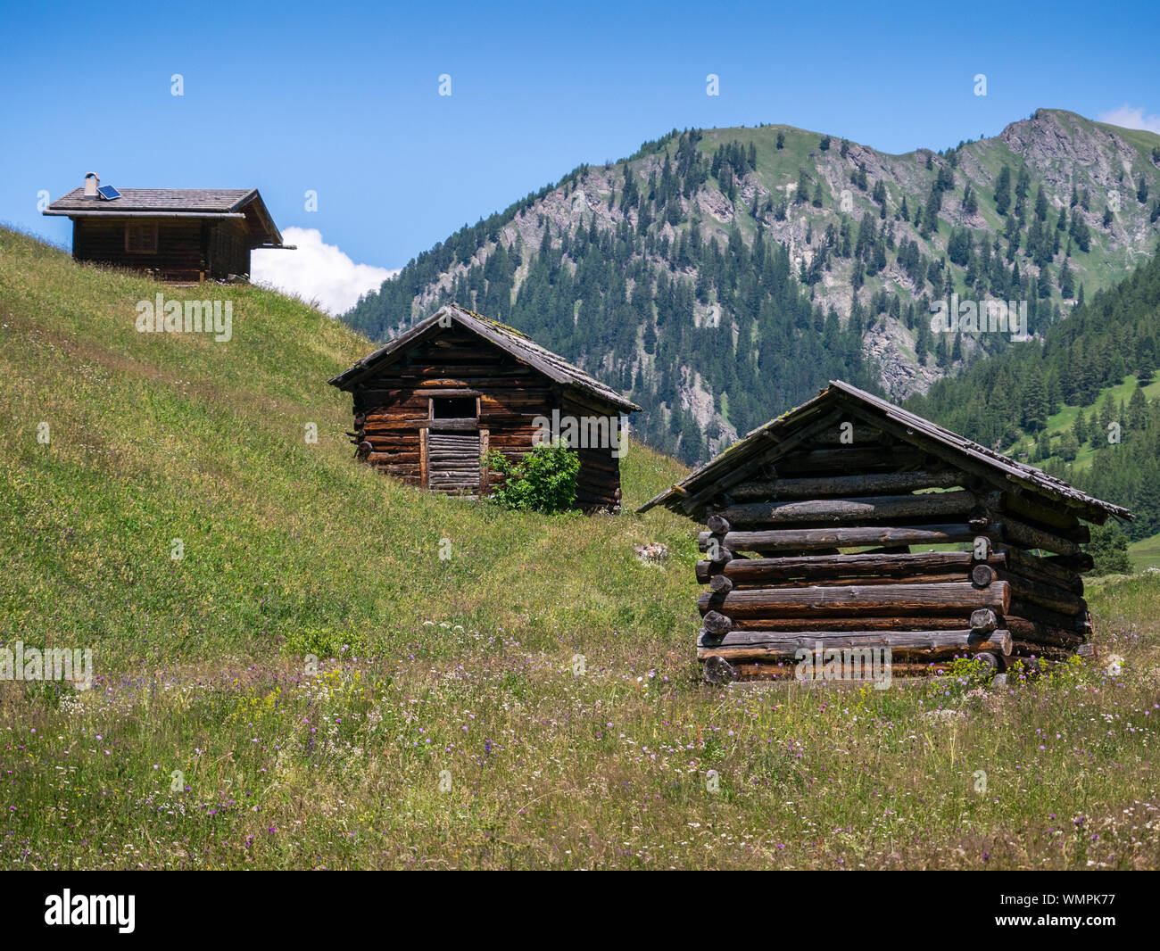 Barns on an alpine meadow at Tschey Meadows, Pfunds, Upper Inn Valley, Tyrol, Austria Stock Photo