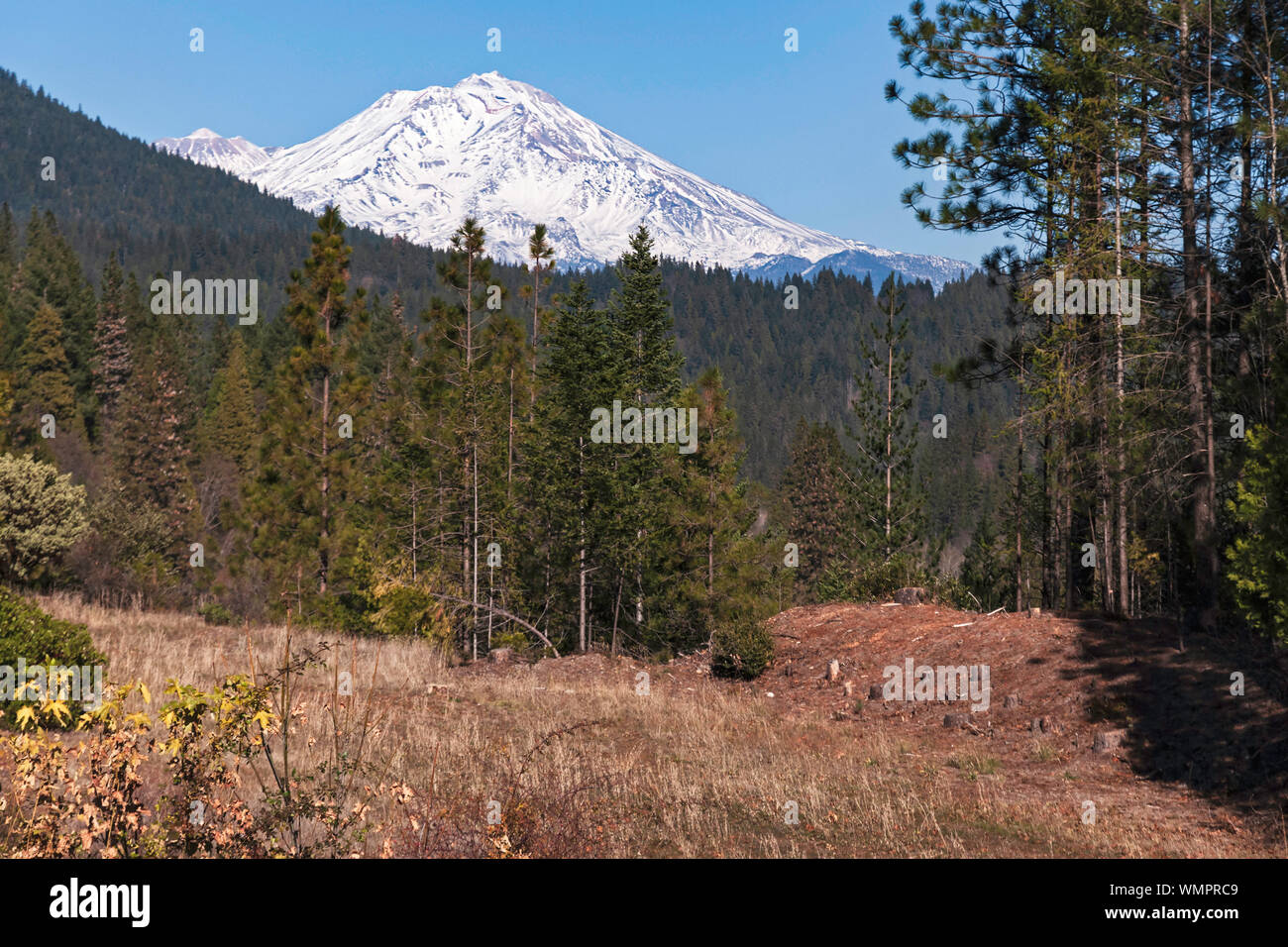 mt shasta volcano viewed from the vista point on interstate 5 highway near Castella California with forests and a meadow in the foreground Stock Photo