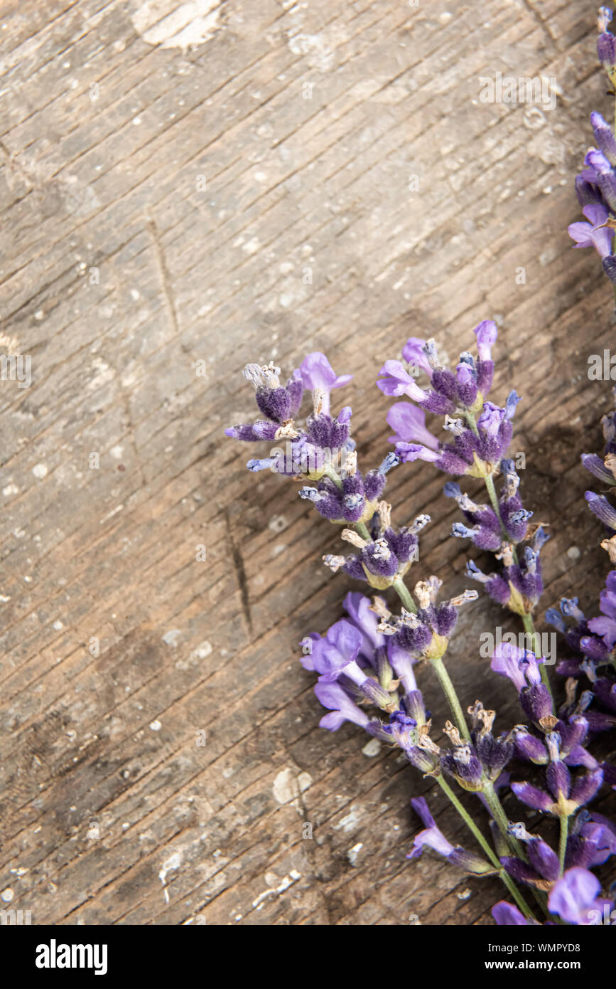 Close up of small bunch of beautiful fresh lavender flowers on old rough textured natural wooden surface. View from directly above. Selective focus. V Stock Photo