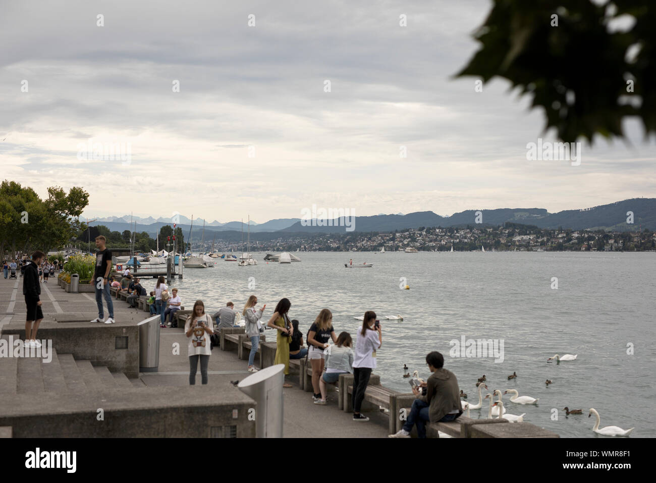 Crowds gather along the edge of Lake Zurich in the Quaianlagen park to feed the swans on a cloudy summer day in Zurich, Switzerland. Stock Photo
