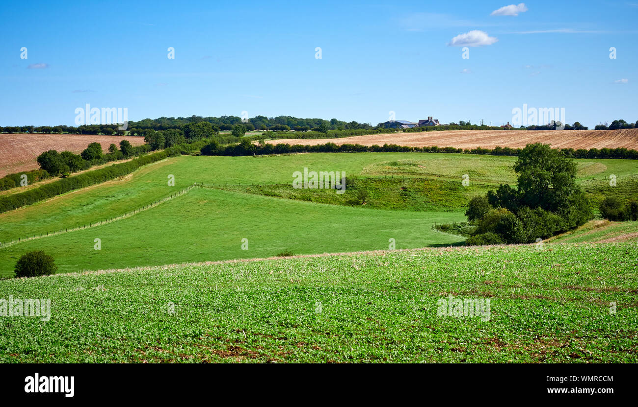The farmland landscape seen from the drift at Swayfield in Lincolnshire consisting of lush arable fields Stock Photo