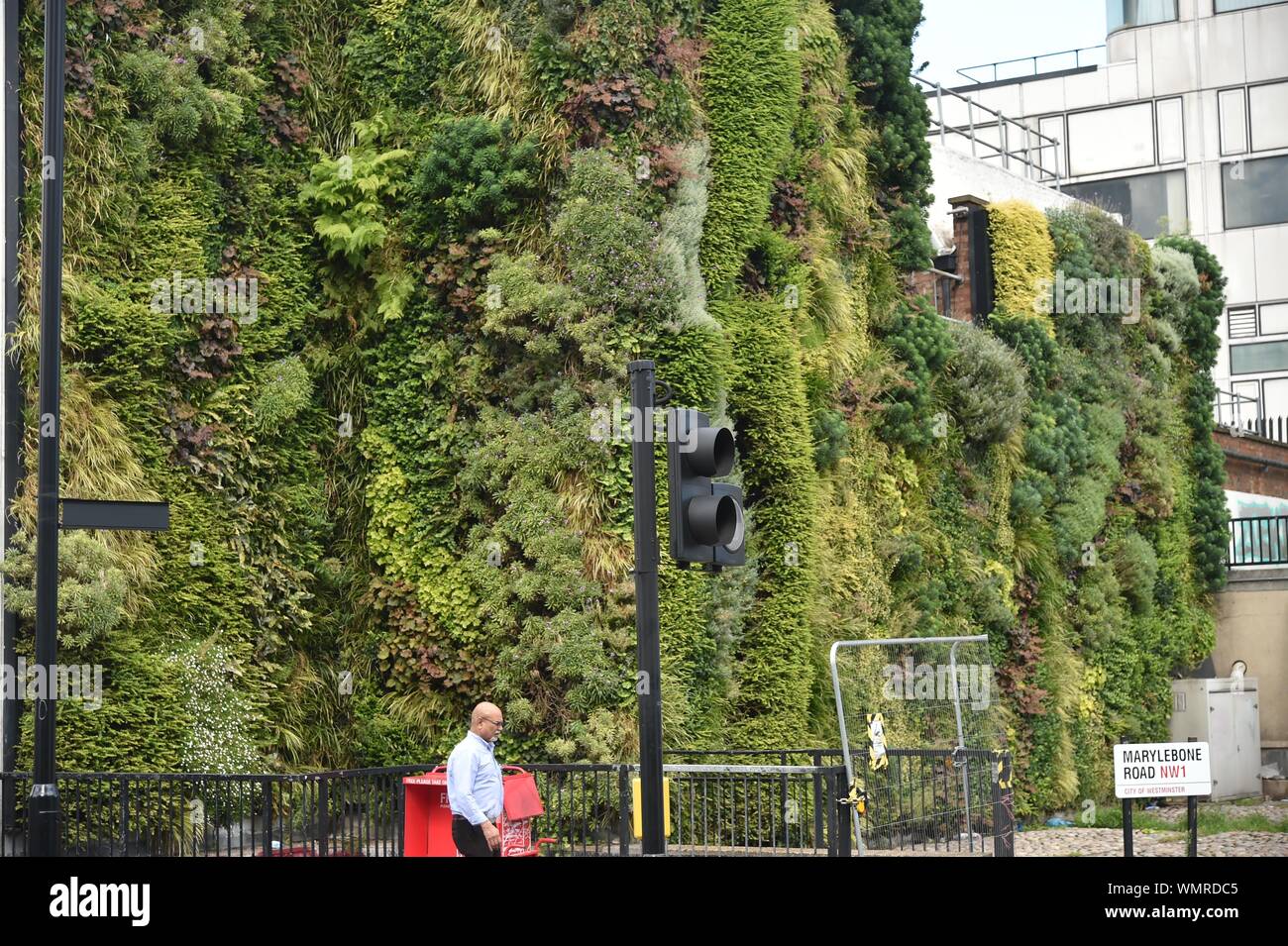 Vertical Garden Elephant and castle, London UK Stock Photo Alamy