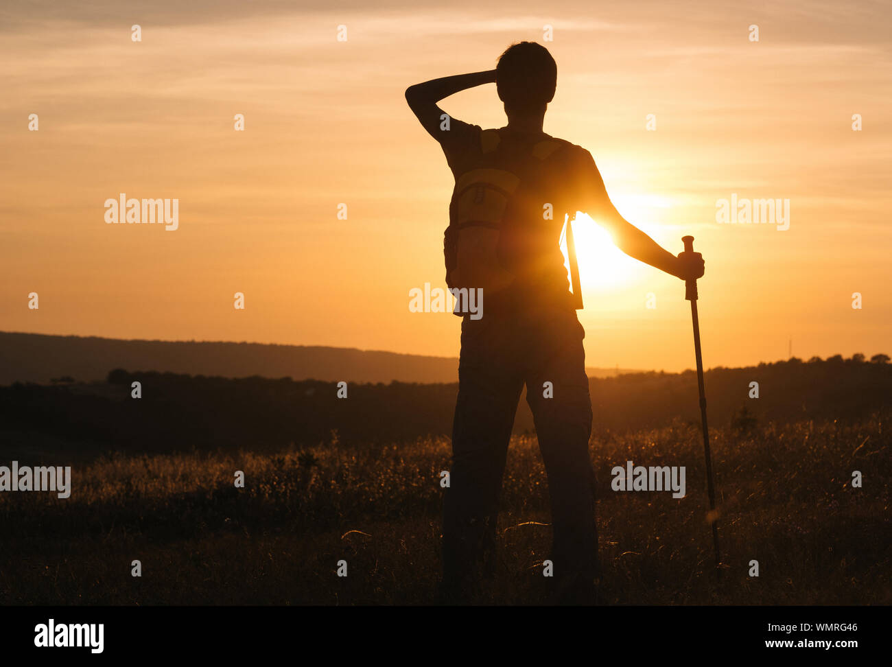 champion walking pole