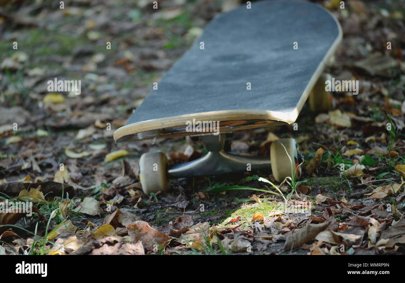 Skateboard on a fallen leaves Stock Photo