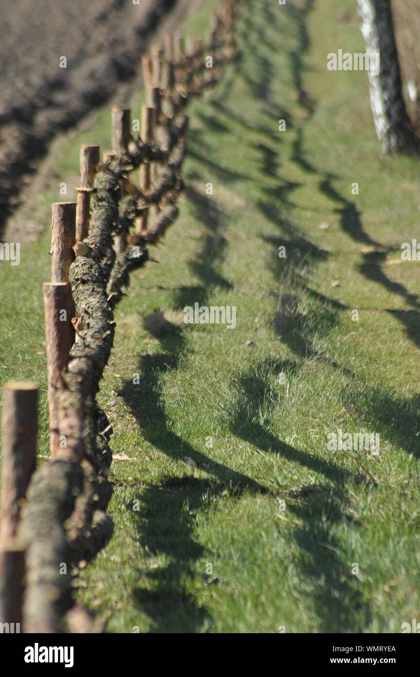 Wooden fence along edge of a field hi-res stock photography and images ...