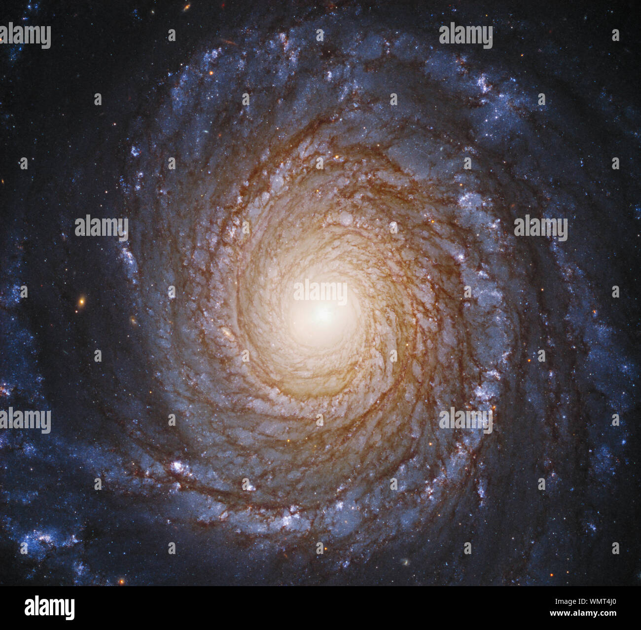 Ngc Galaxy High Resolution Stock Photography And Images Alamy