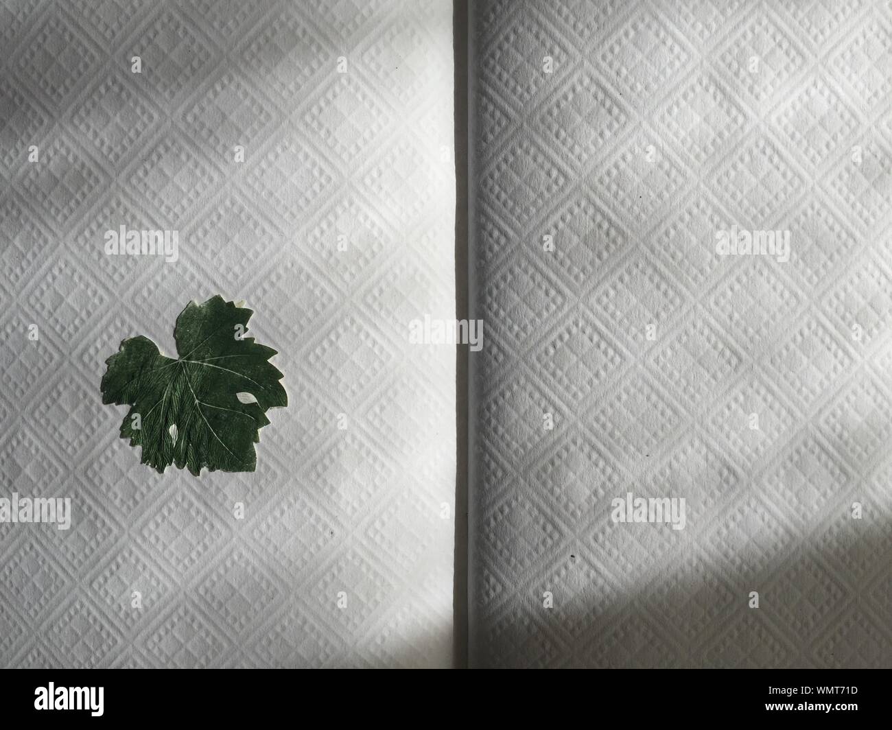 Leaf Of Paper High Resolution Stock Photography and Images Alamy