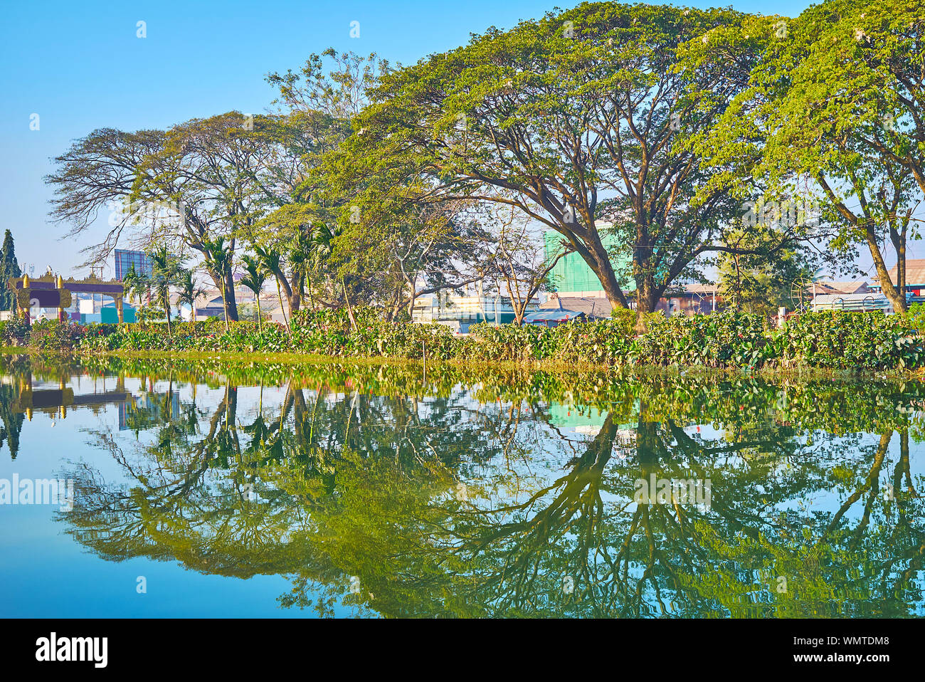 Enjoy the morning walk by the Tharzi pond with a view on shady spread trees along its bank, Nyaungshwe, Myanmar Stock Photo