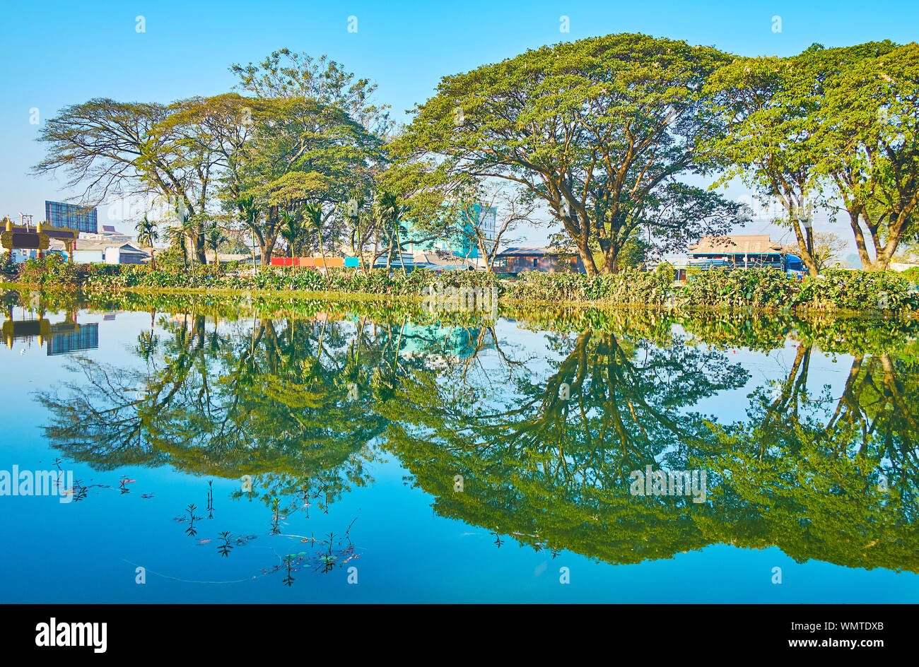 Idyllic nature of Nyaungshwe tourist village; the line of tall shady trees is reflected on mirror surface of Tharzi pond, Myanmar Stock Photo