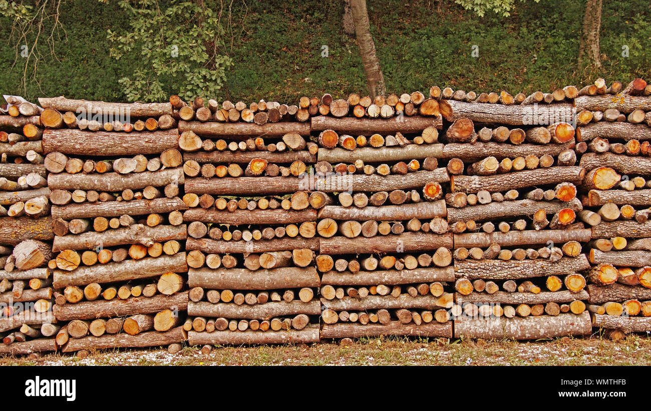 timber cut to size and neatly stacked Stock Photo