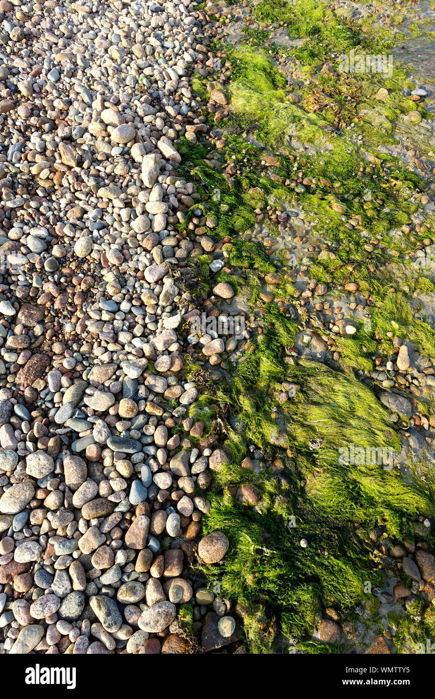 The tide line on a pebble beach in Jersey, Channel Islands Stock Photo