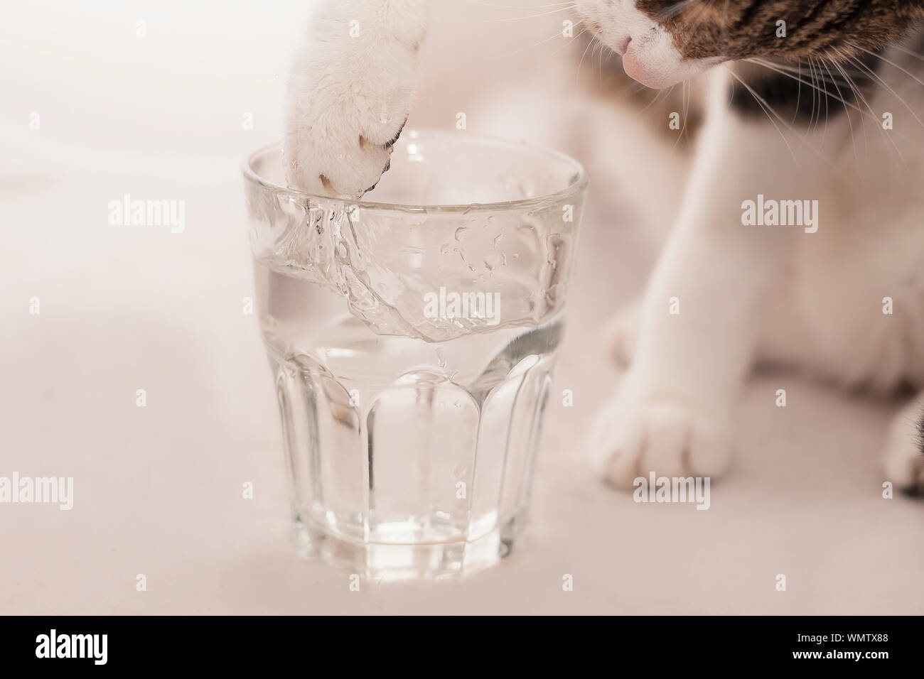 Drinking water from glass hires stock photography and images Alamy