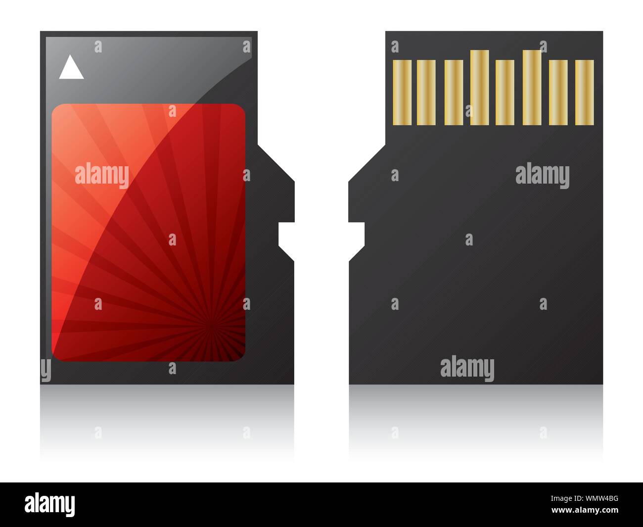 Labeled Micro Sd card Stock Vector Image & Art Alamy
