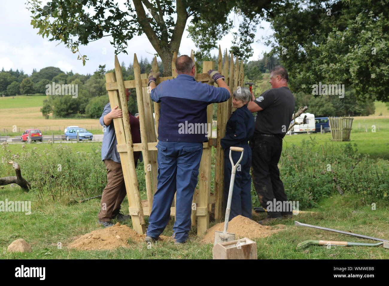 Volunteers erecting tree guards Stock Photo