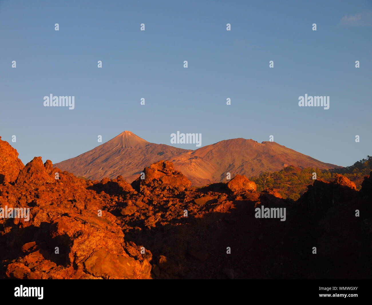 View on the Teide and Pico Viejo from Corona Forestal Nature Park before sunset (Tenerife, Canary Islands, Spain) Stock Photo