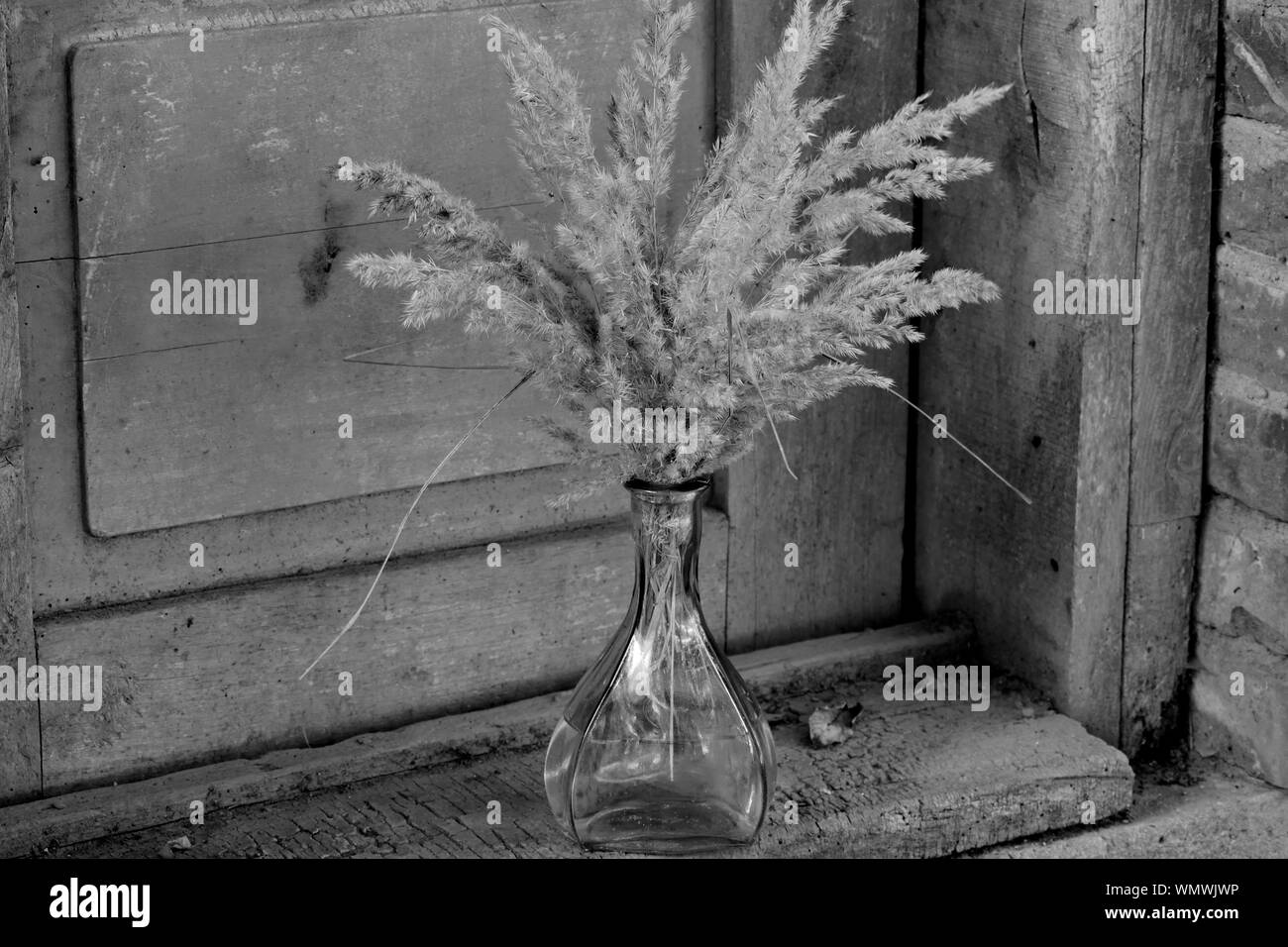 Bouquet of fluffy autumn spikelets of grass in a glass vase Stock Photo