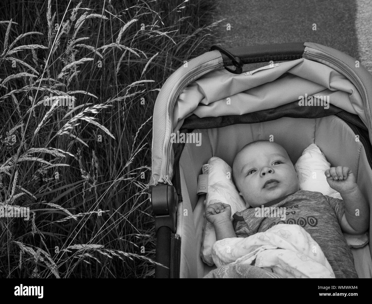 Photography Free Shipping Adorable 1950's Baby In Buggy Snapshot