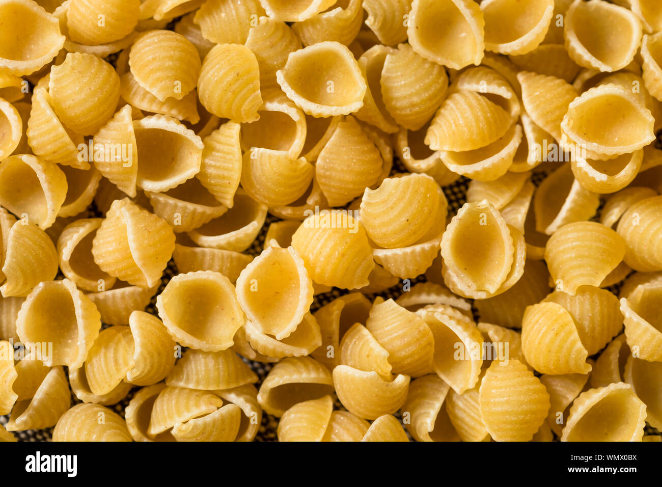 Macrolli Shell Dry Organic Macaroni Shells in a Pile Stock Photo - Alamy
