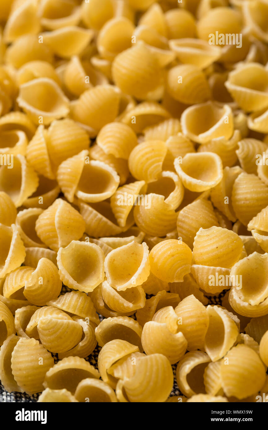 macaroni shells