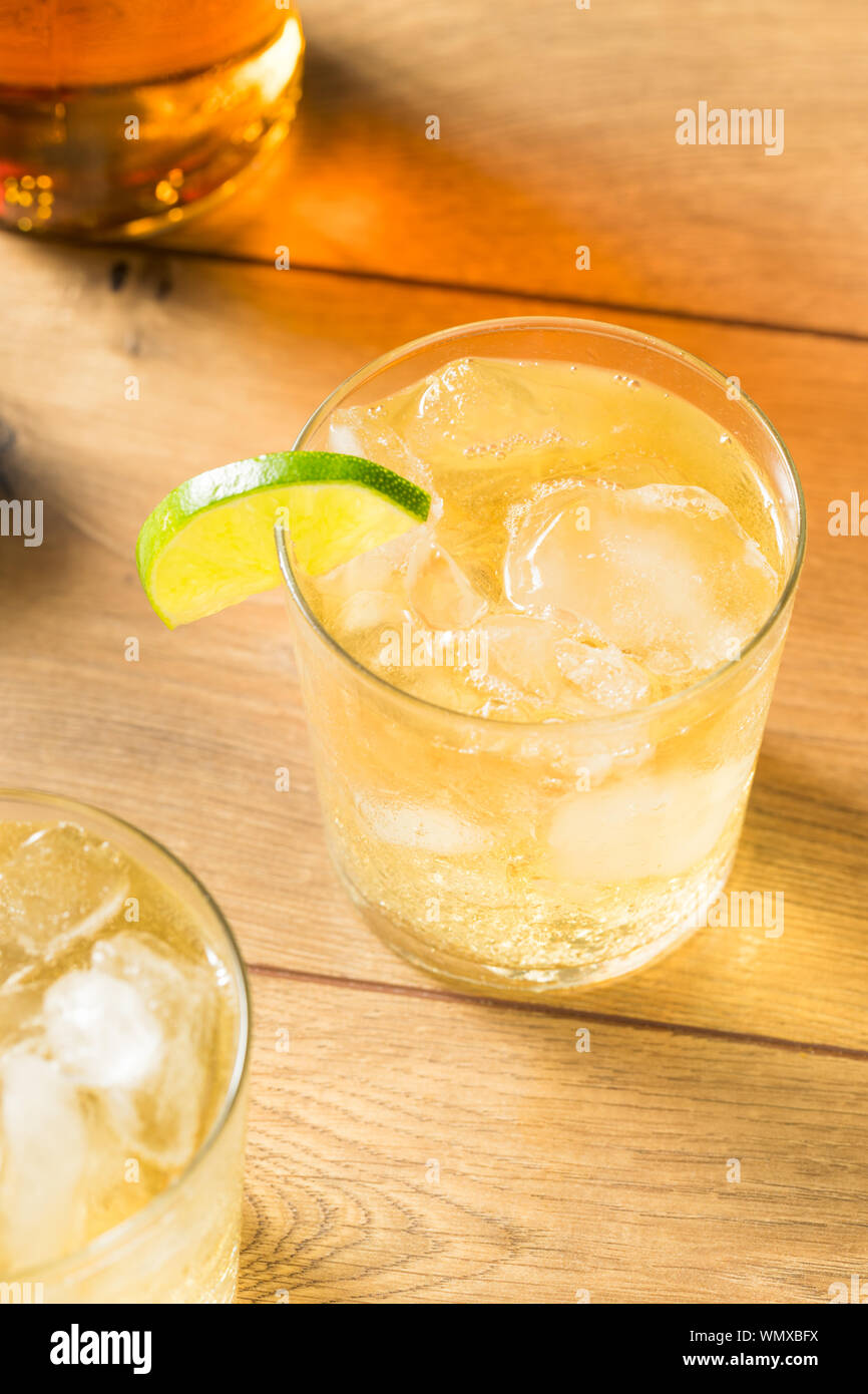 Homemade Rum and Tonic Cocktail with Lime Stock Photo Alamy