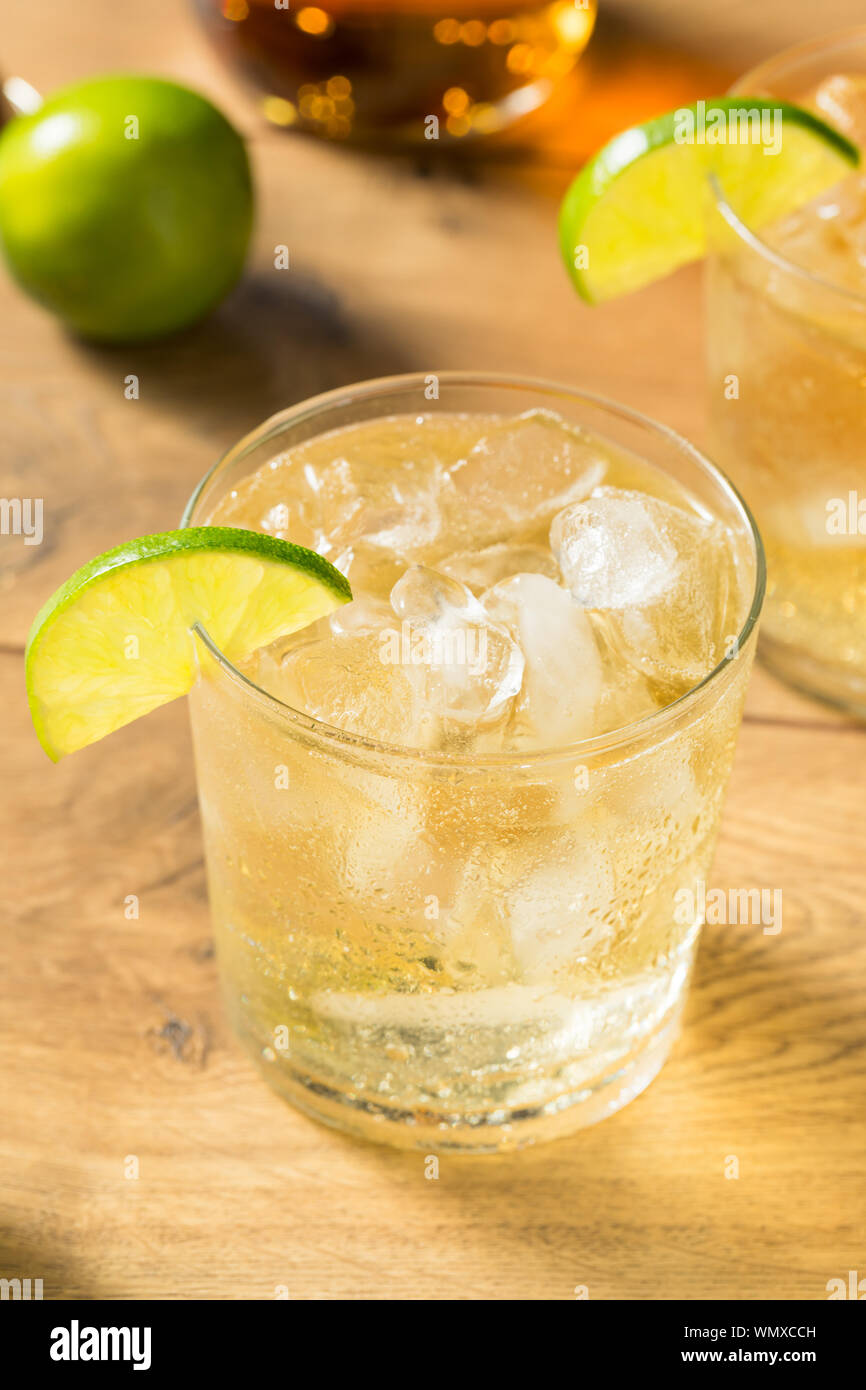 Homemade Rum and Tonic Cocktail with Lime Stock Photo Alamy