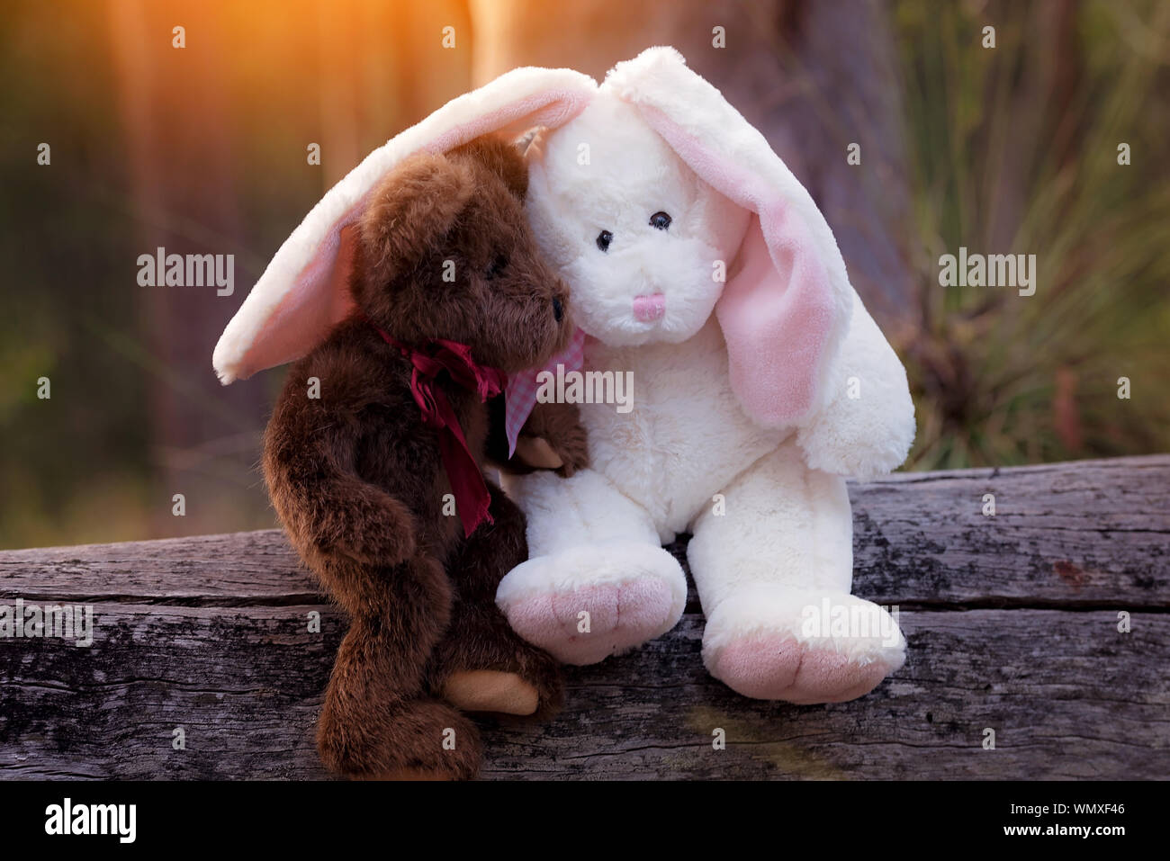 easter teddy