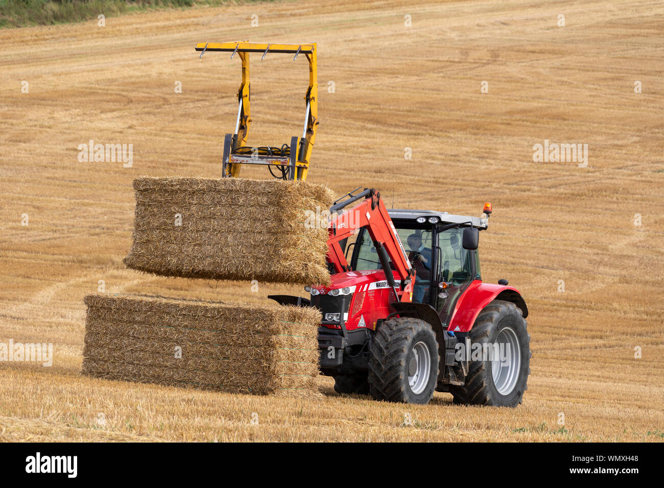 Agriculture - a tractor collecting bales of hay following the harvesting of a field of wheat on farmland in North Yorkshire in the United Kingdom. Stock Photo