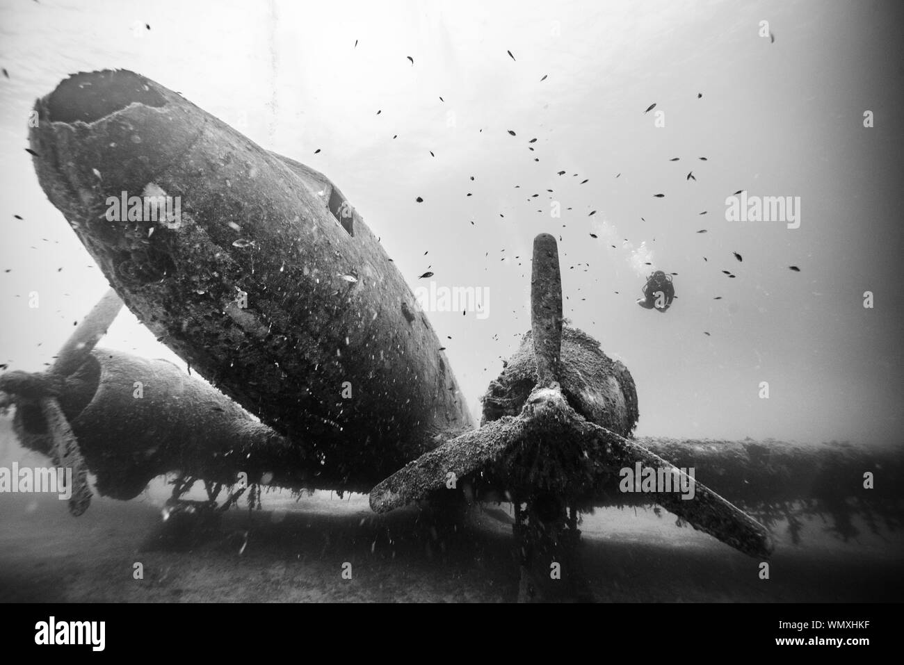 Low Angle View Of Scuba Diver Swimming Over Airplane Wreck Stock Photo