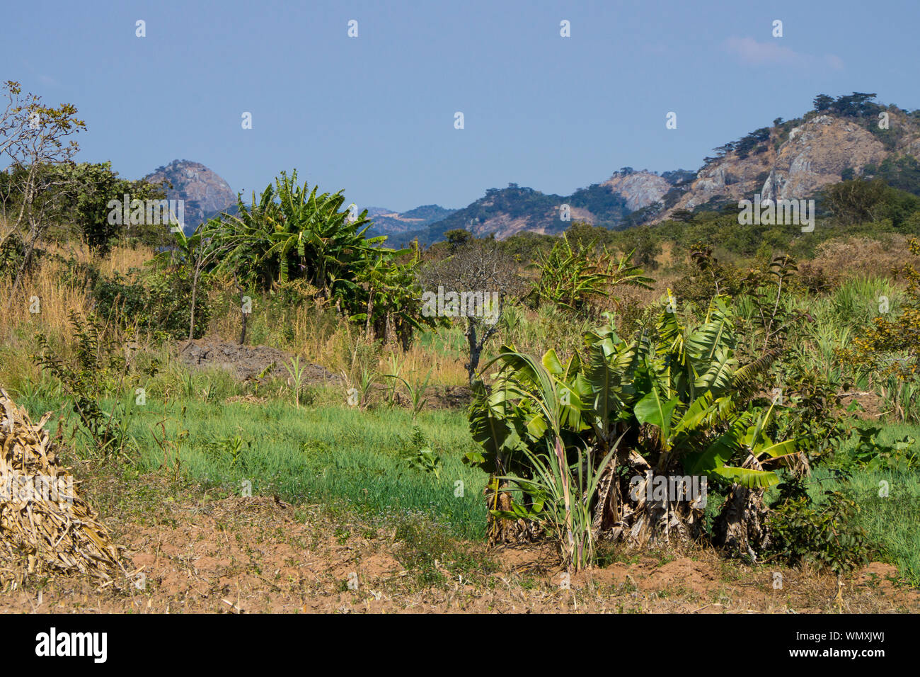Agricultural landscape in Mzimba district, Malawi Stock Photo