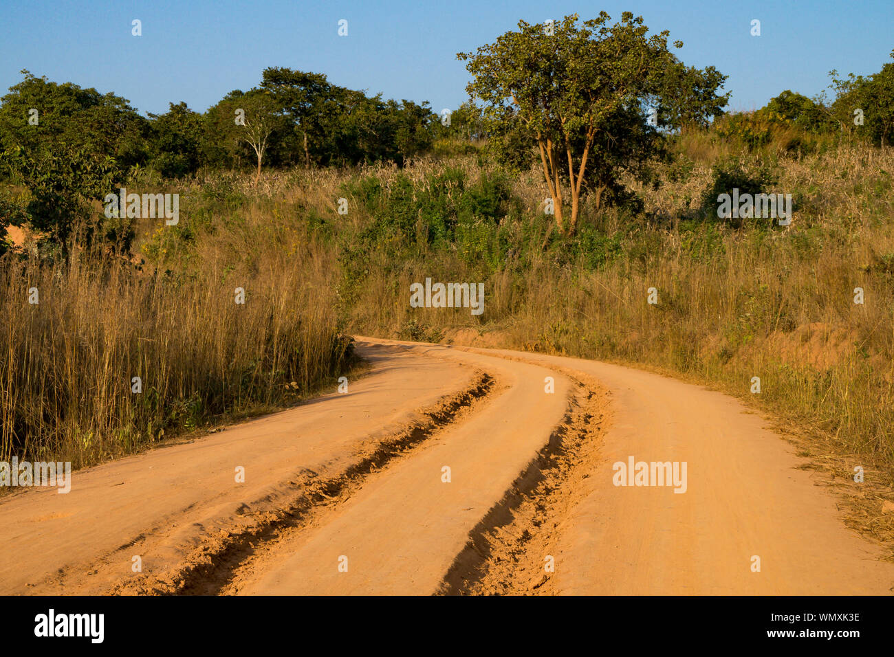 A dry season road in a remote part of rural Malawi, Africa, showing gulleys caused by recent rainfall. Stock Photo