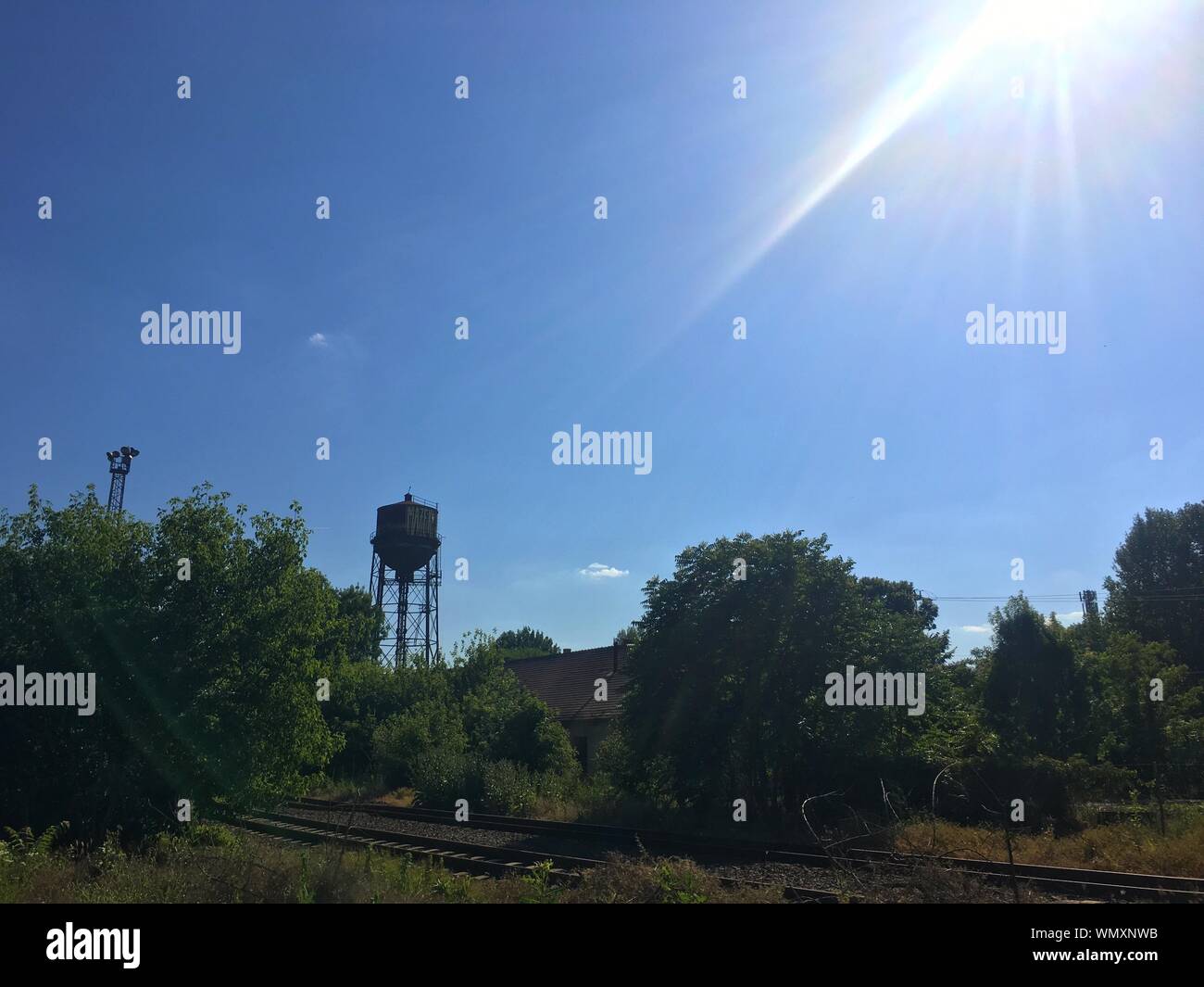 Railroad Tracks And Trees On Field Stock Photo
