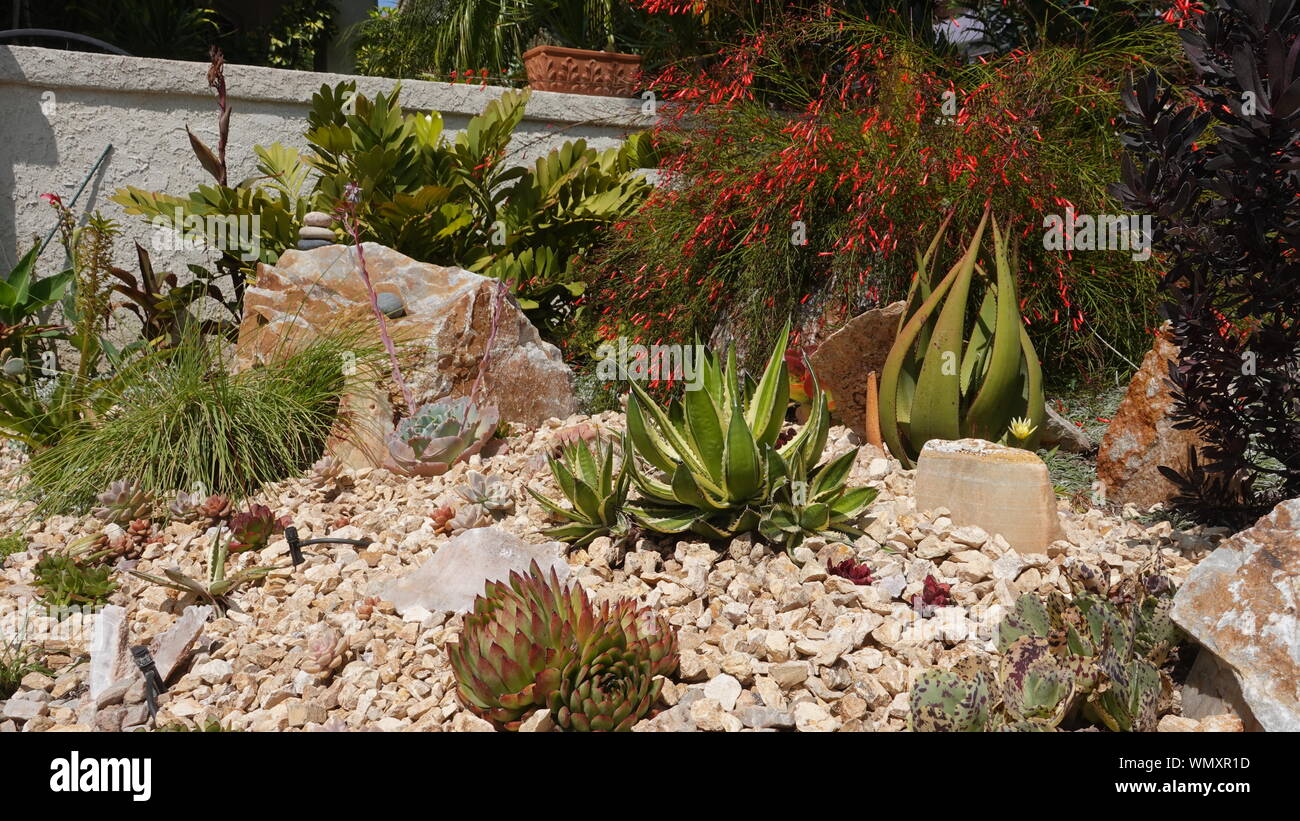 Medium close up of beautifully done drought-tolerant landscaping in a front yard in California Stock Photo