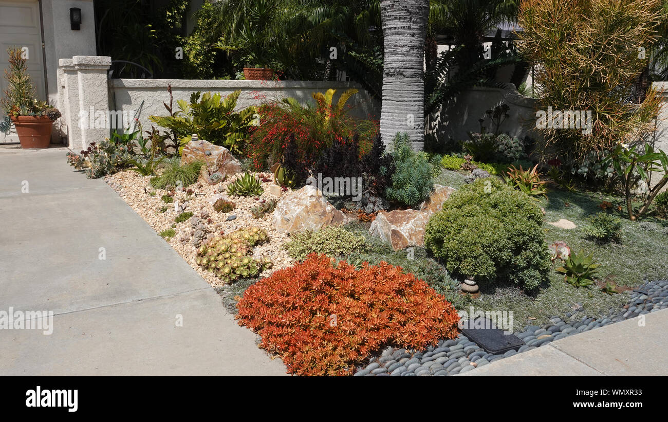 Medium close up of beautifully done drought-tolerant landscaping in a front yard in California Stock Photo