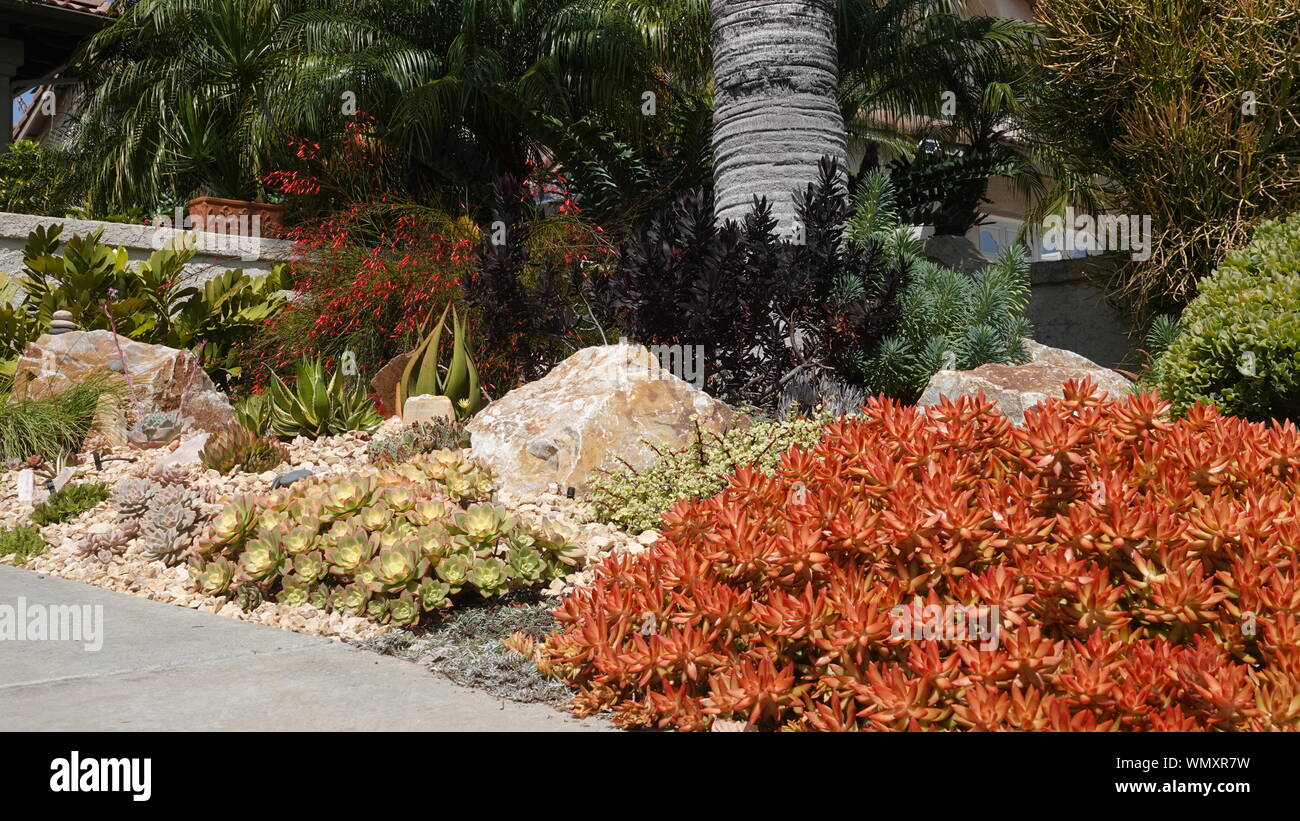 Medium close up of beautifully done drought-tolerant landscaping in a front yard in California Stock Photo