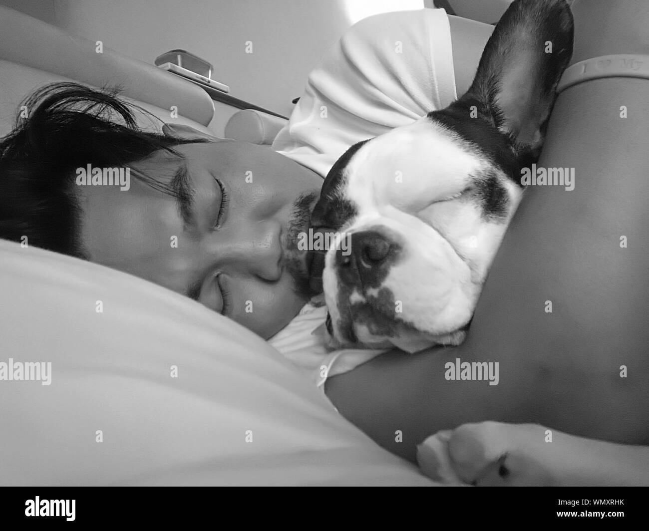 Close Up Of Man With French Bulldog Sleeping On Bed Stock Photo Alamy