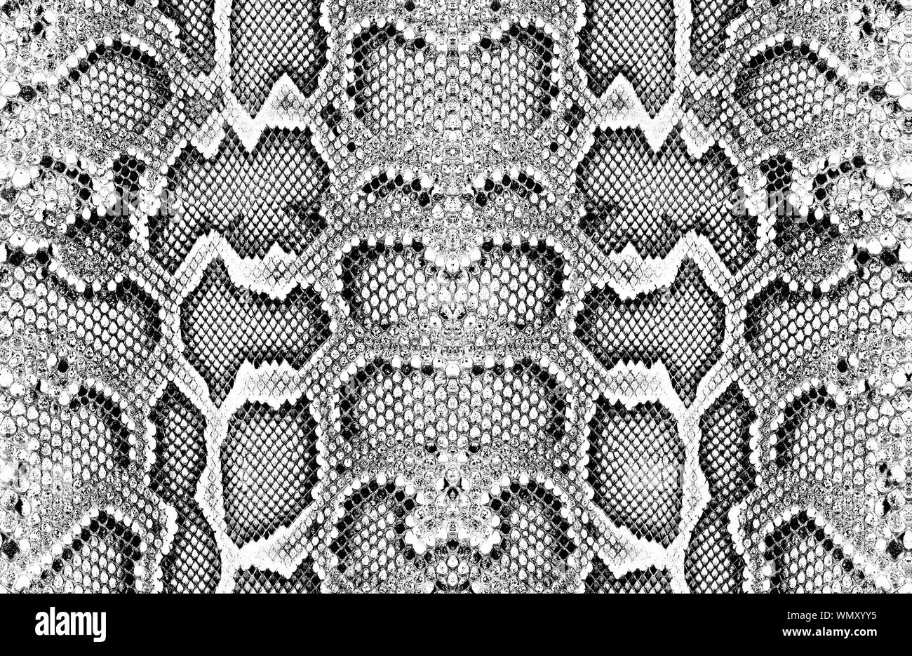 Snake skin pattern texture repeating seamless monochrome Texture snake. Fashionable print. Fashion and stylish background Stock Photo
