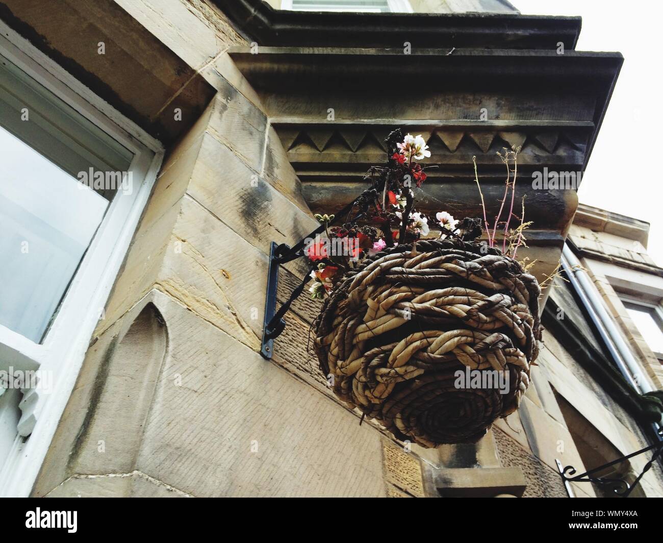 Low Angle View Of Flower Basket Hanging On Building Wall Stock Photo