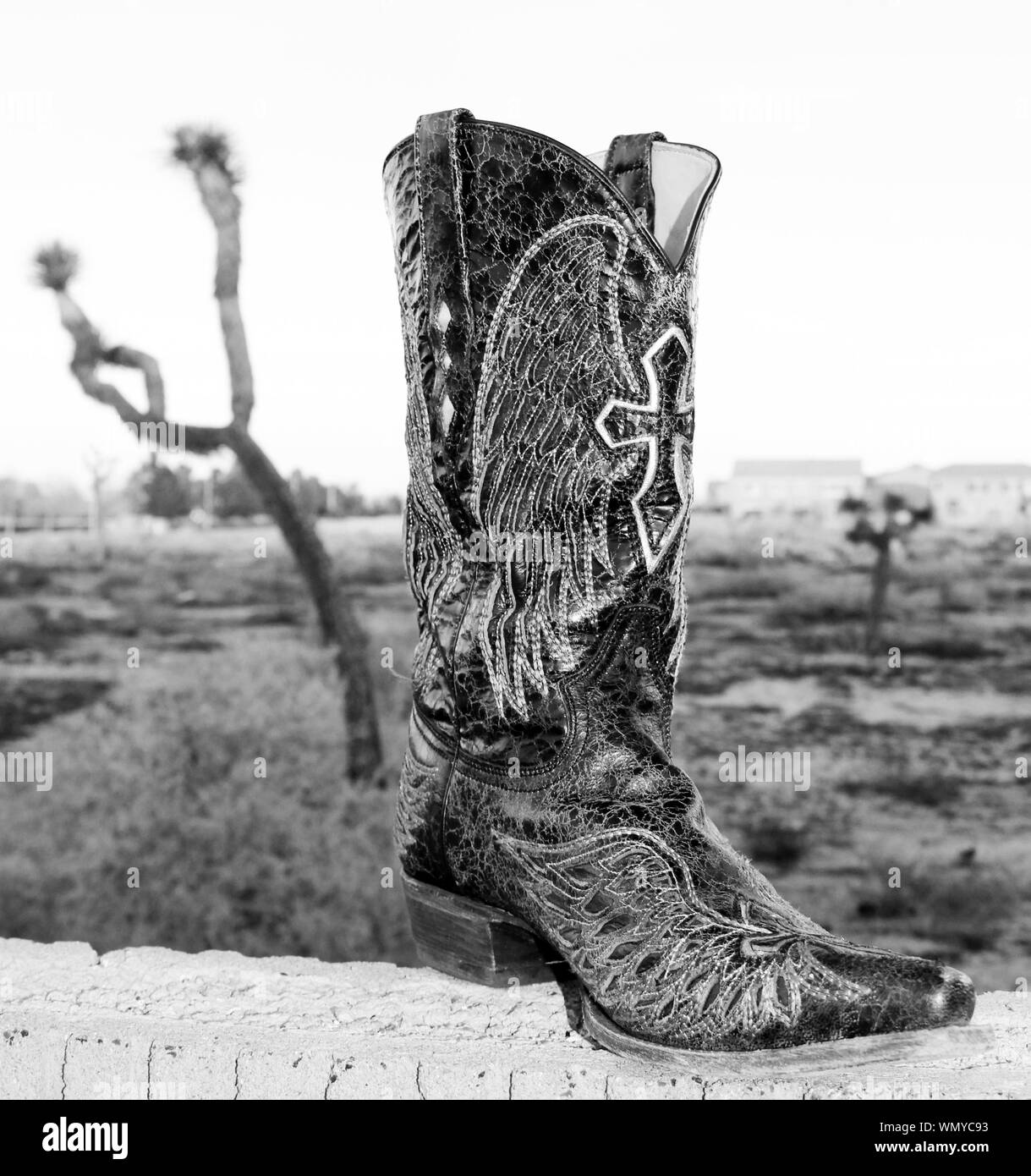 Cowboy boot hires stock photography and images Alamy