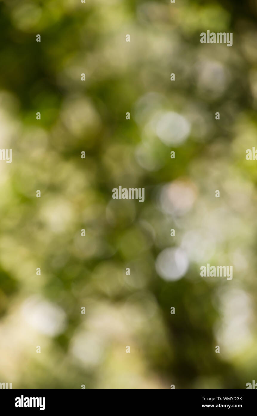 Bokeh wallpapers hi-res stock photography and images - Alamy
