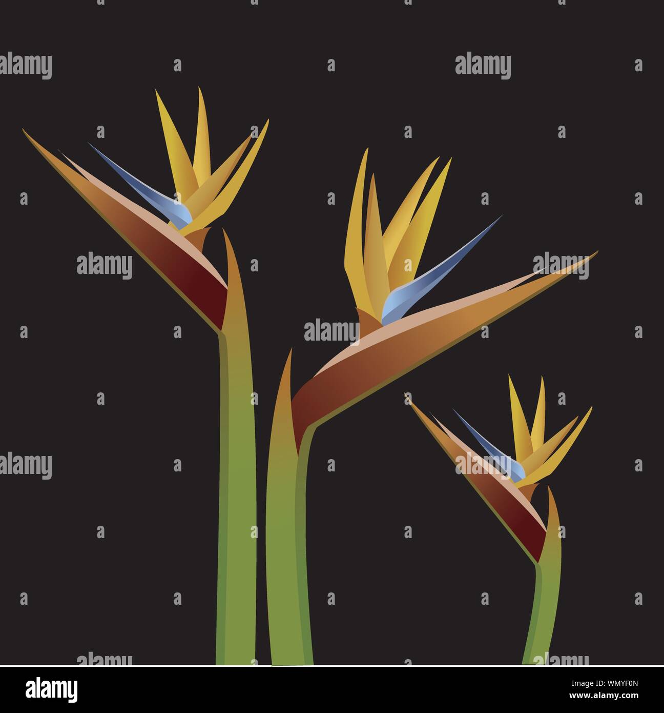 Abstract background with flowers - birds . Vector illustration Stock ...