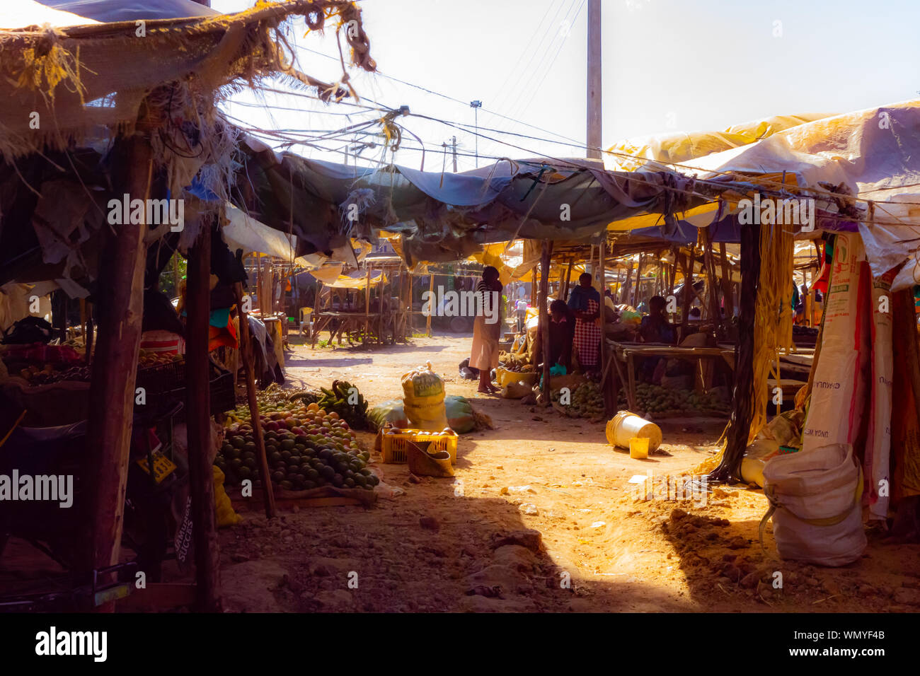 Nanyuki, Laikipia county, Kenya January 3rd, 2017 Photograph of