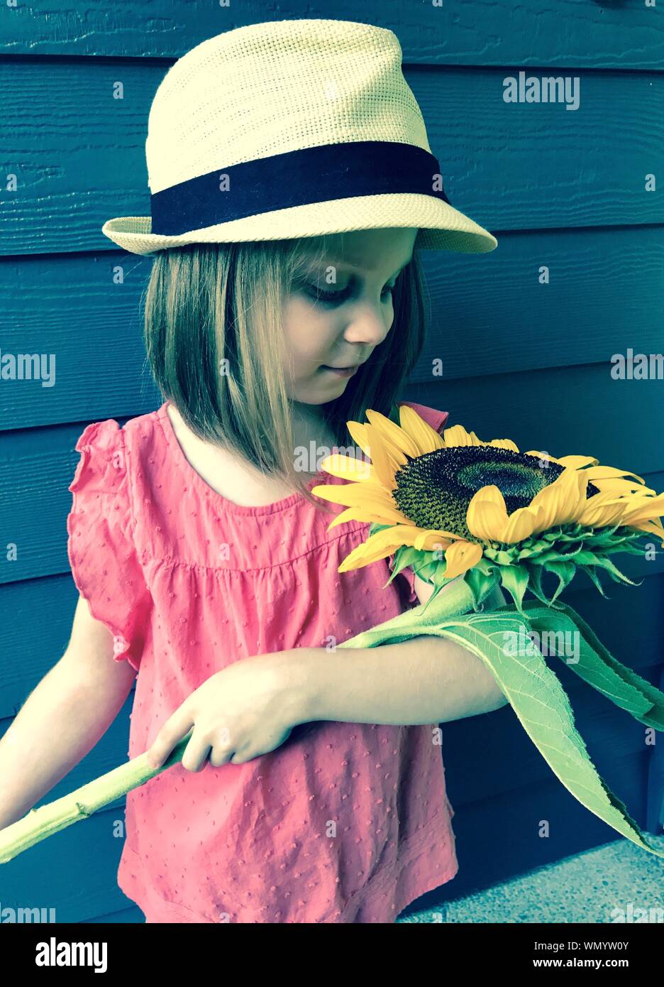 Cute Girl Holding Sunflower Against Log Cabin Stock Photo Alamy
