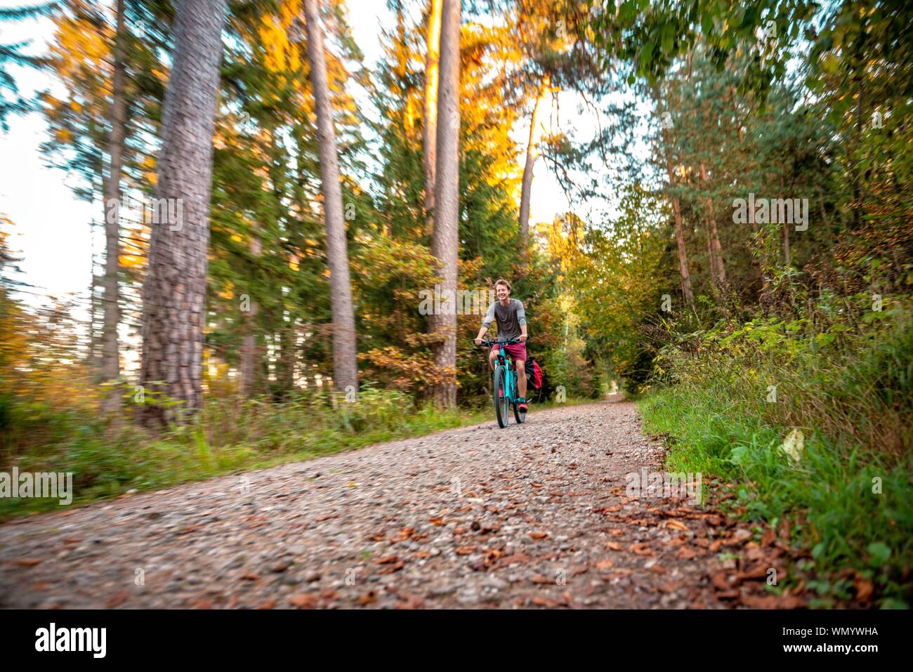 Young man cycling in the autumn forest, Perlacher Forst, Munich, Upper Bavaria, Bavaria, Germany Stock Photo