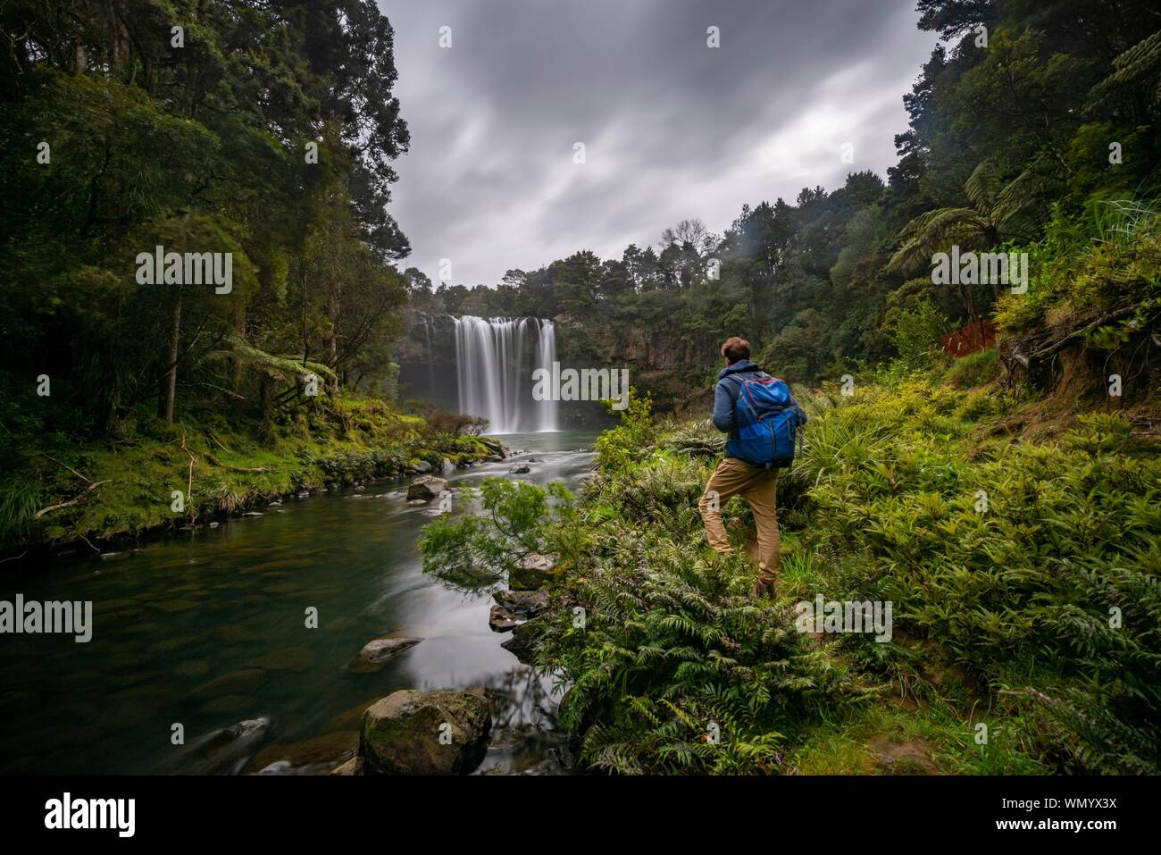 Young man standing in front of waterfall, Rainbow Falls or Waianiwaniwa, Kerikeri River, Northland, North Island, New Zealand Stock Photo