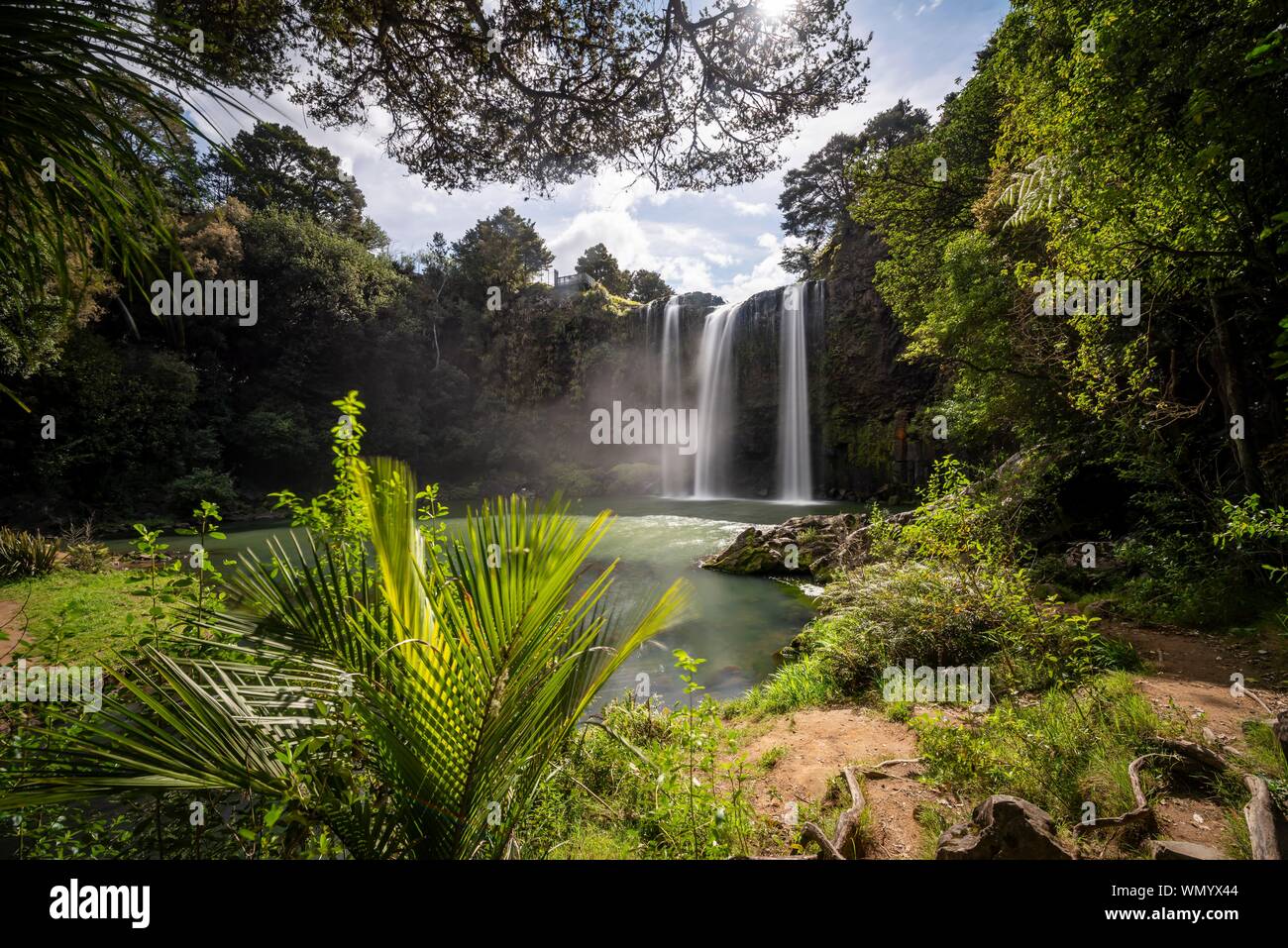 Waterfall, Whangarei Falls, River Hatea, Whangarei Falls Scenic Reserve, Northland, North Island, New Zealand Stock Photo