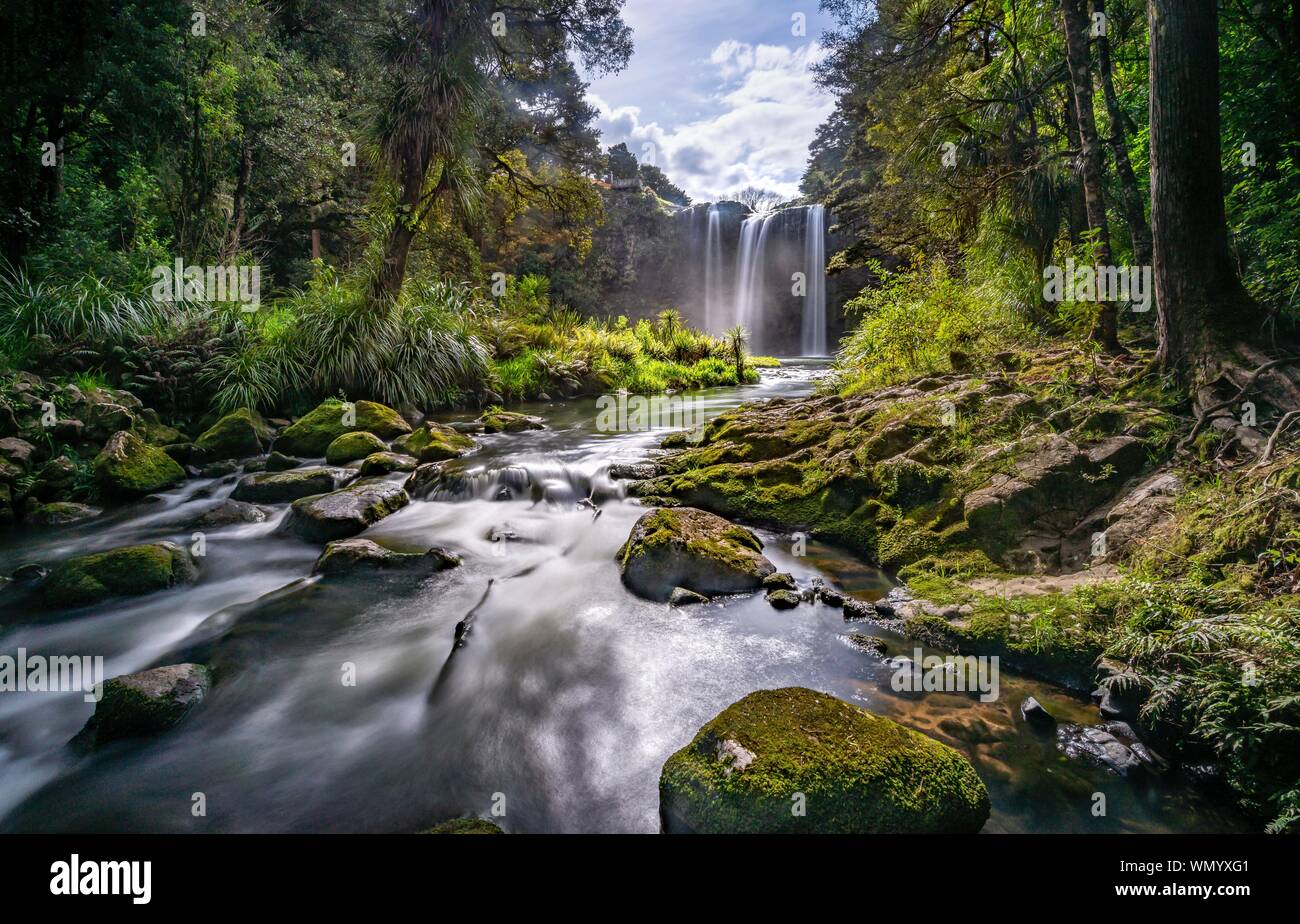 Waterfall, Whangarei Falls, River Hatea, Whangarei Falls Scenic Reserve, Northland, North Island, New Zealand Stock Photo