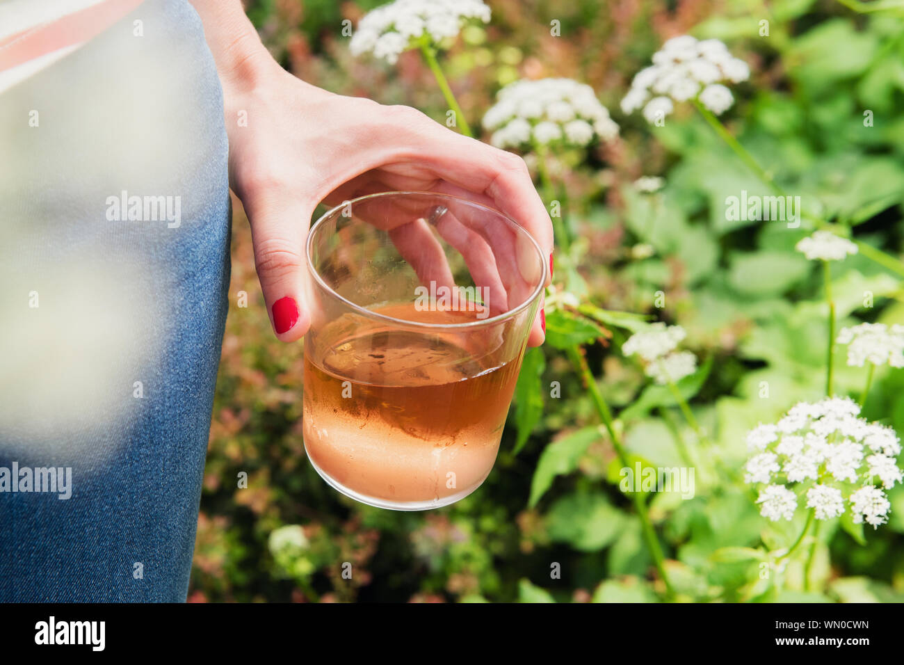 Woman holding glass of rose wine in garden Stock Photo