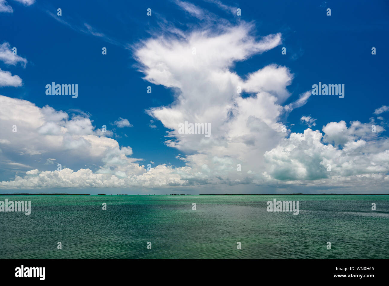 Seascape in Florida Keys, USA Stock Photo - Alamy