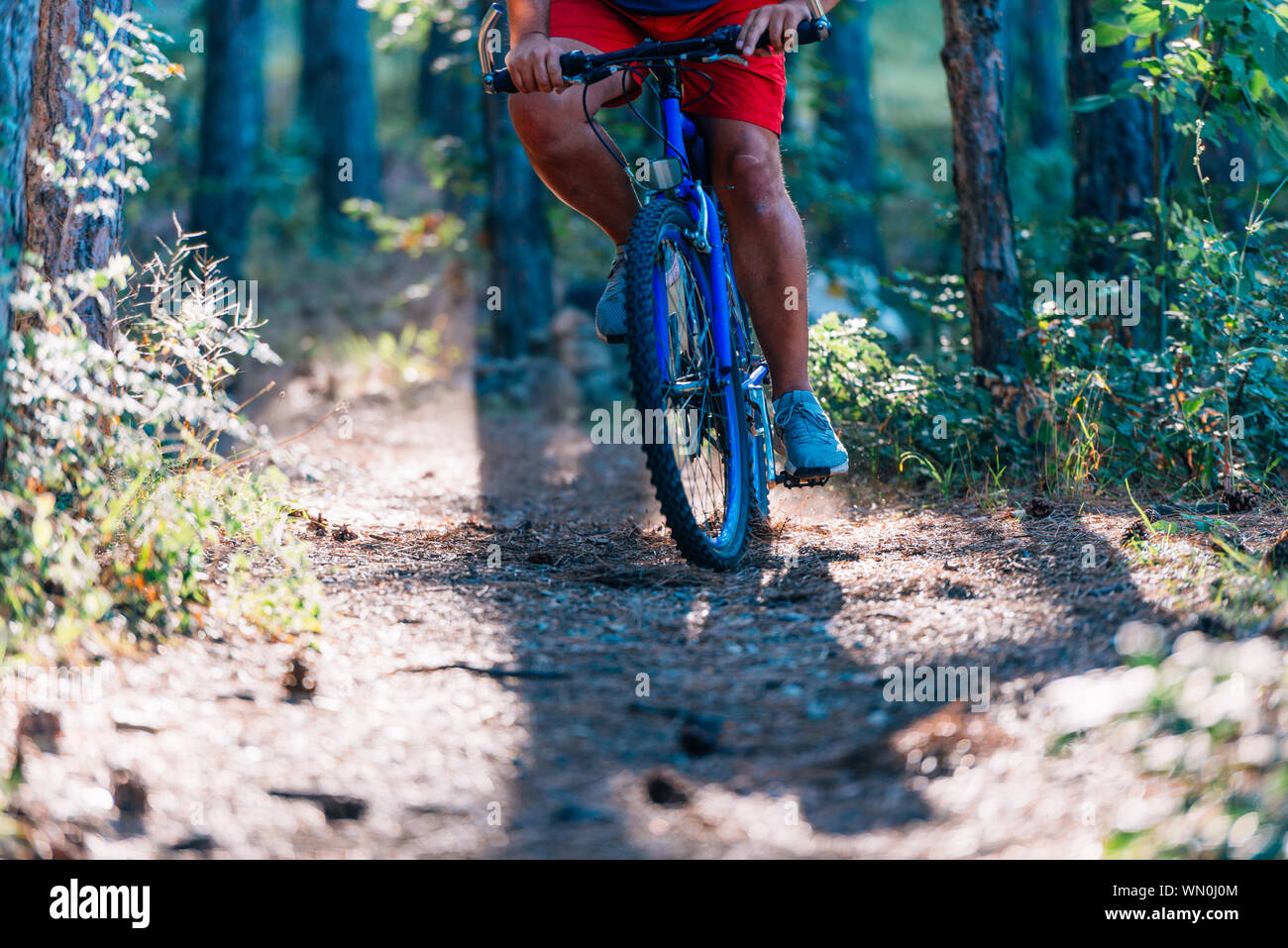 Older overweight man rides a mountain bike through the woods using